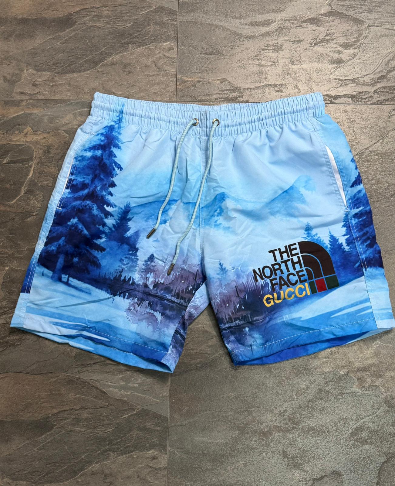 Мъжки шорти / бански The North Face 0317