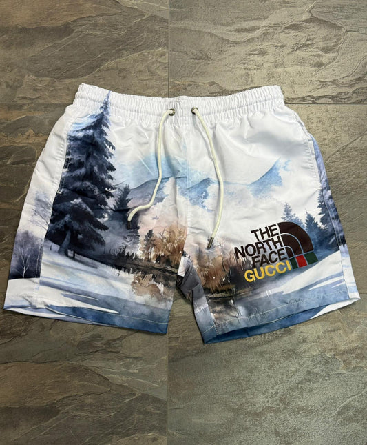 Мъжки шорти / бански The North Face 0317